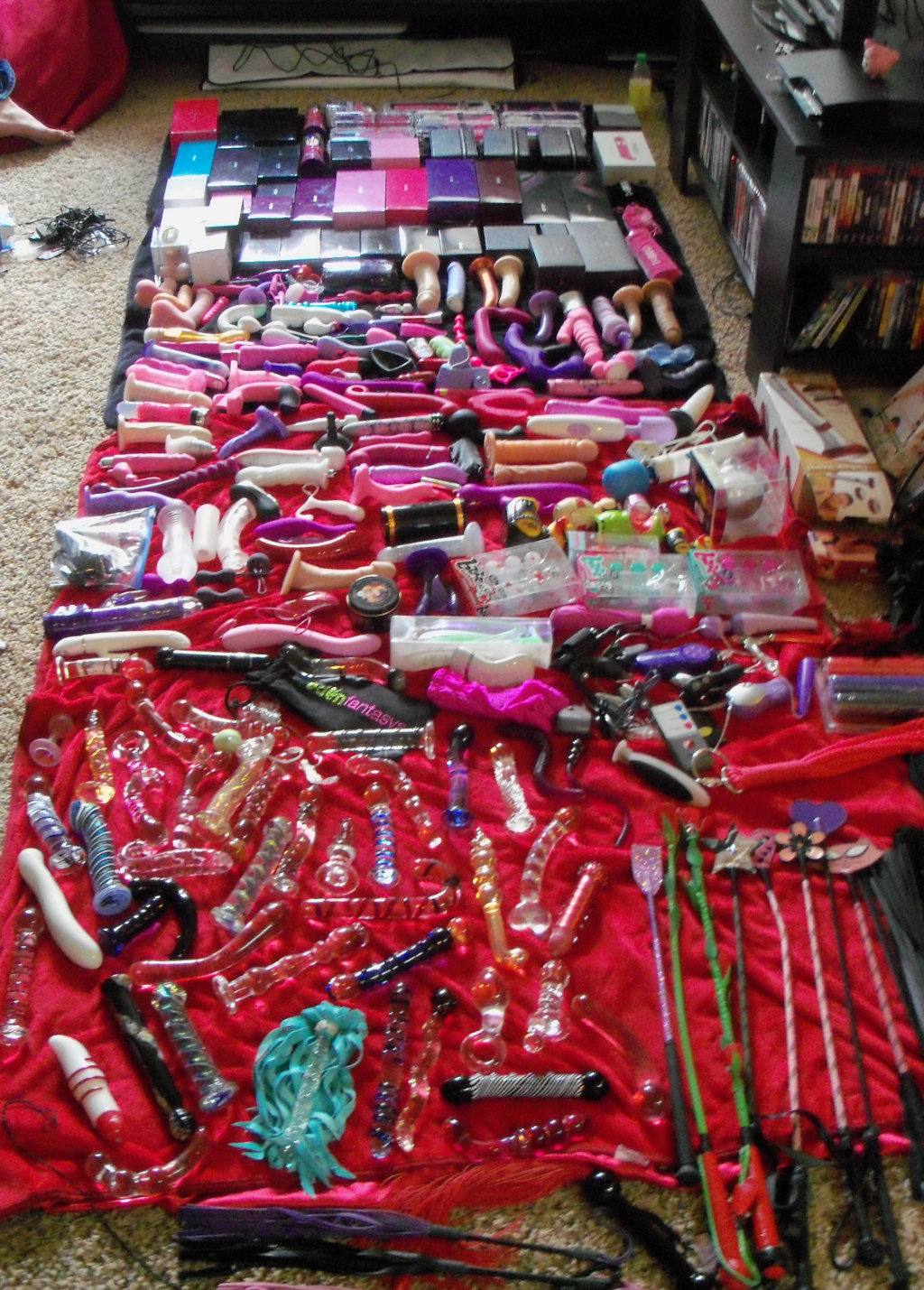Photo d'une collection de centaines de sex toys