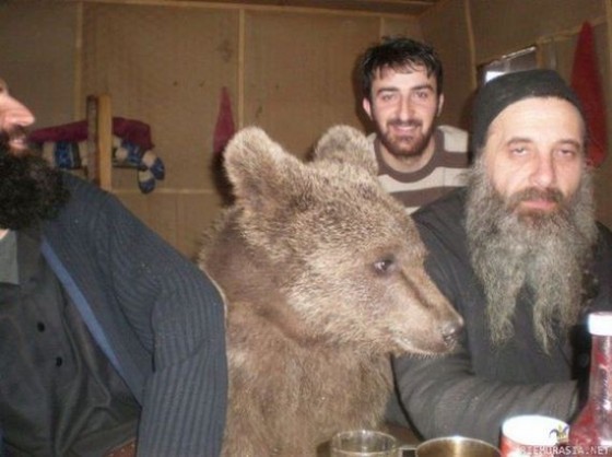 Photo d'un ours dans un appartement avec 3 hommes