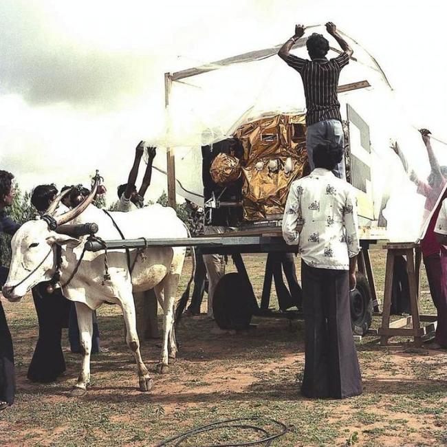 Satellite indien transpoeté par une vache