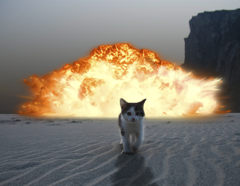 Photomontage d'un chaton qui marche vers la camera, laissant une explosion derrière lui