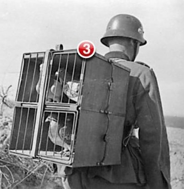 Photo noir et blanc d'un soldat portant des pigeons voyageurs avec une notificaiton du nombre de messages non lus
