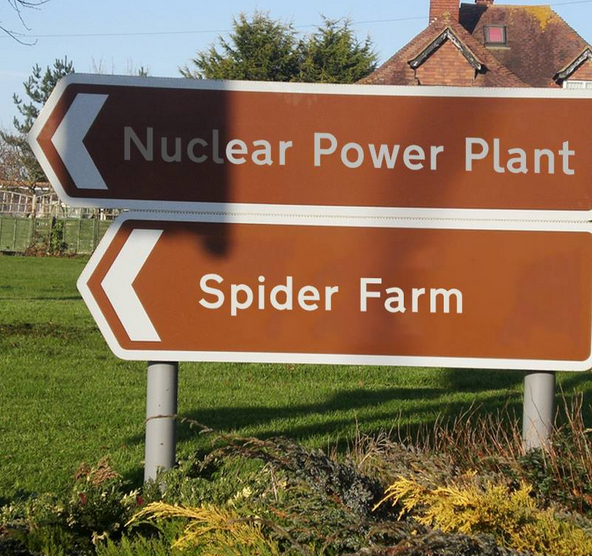 Nuclear power plant + spider farm