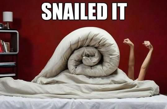 Snailed it !